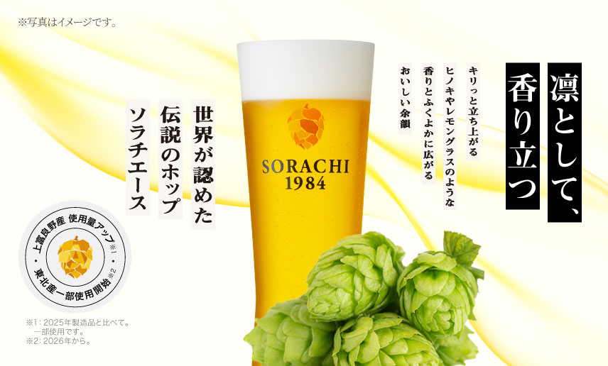 SORACHI 1984